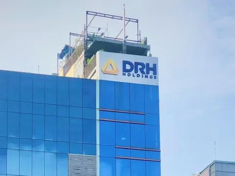 DRH Holdings lỗ thêm 42 tỷ đồng sau soát xét bán niên 2024