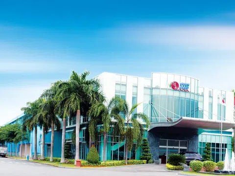 Đồng Nai: Tôn Phương Nam, Cơ khí Luyện kim là loạt DN bị xử phạt về môi trường