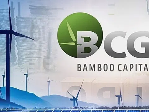 Loạt cổ phiếu trong hệ sinh thái của ông Nguyễn Hồ Nam "có biến"