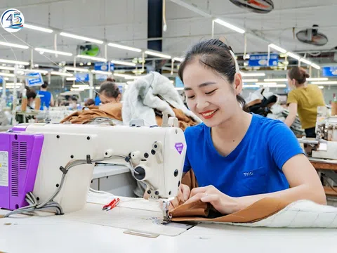 Dệt may TNG bị xử lý về thuế 369,4 triệu đồng