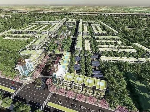 Long An: Chủ dự án An Phú Sinh bị ngừng sử dụng hóa đơn do nợ thuế 130 tỷ