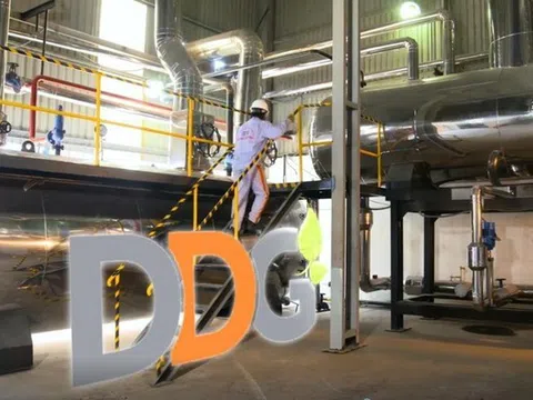 Công bố thông tin sai lệch, Xuất nhập khẩu Đông Dương bị phạt nặng