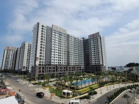Công ty thành viên của Pi Group nợ thuế hơn 347 tỷ đồng