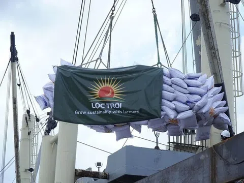 Vi phạm công bố thông tin, Lộc Trời lãnh án phạt 210 triệu đồng