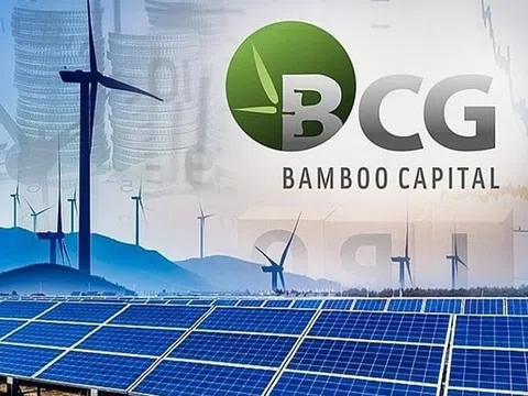 BCG và TCD kéo dài vi phạm công bố báo cáo tài chính, bị HoSE cảnh báo