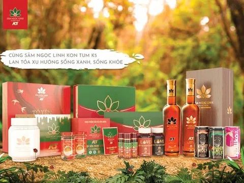 Tổng giám đốc Sâm Ngọc Linh Kon Tum có nguy cơ bị tạm hoãn xuất cảnh