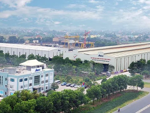 Xây dựng AMECC bị phạt gần 330 triệu đồng