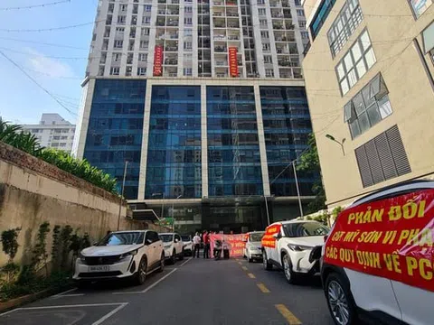 Công ty CP Đầu tư và Xuất nhập khẩu Mỹ Sơn nợ thuế gần 185 tỷ đồng