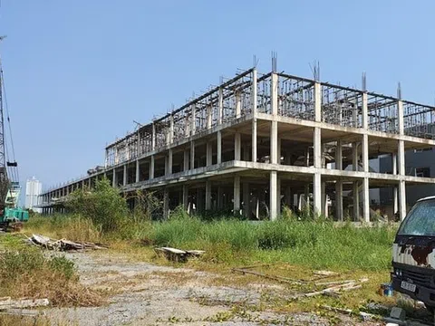 Công ty Nhà Đa Phước, Hai Hạnh và loạt doanh nghiệp nợ thuế