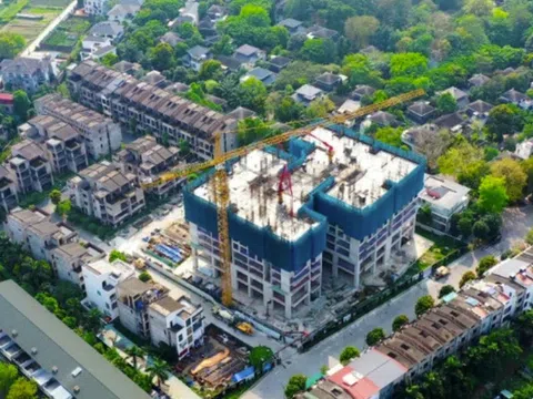 An Phú Invest - Chủ đầu tư dự án The Fibonan nợ thuế gần 33 tỷ đồng