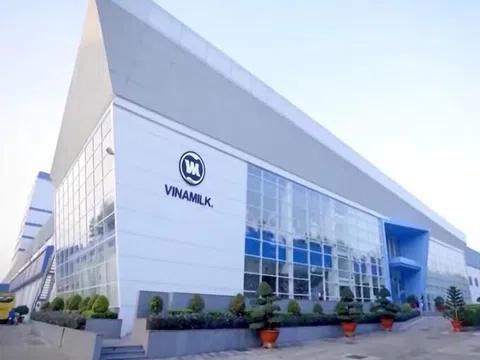 Công ty con của SCIC đăng ký bán toàn bộ lượng cổ phiếu Vinamilk đang nắm giữ