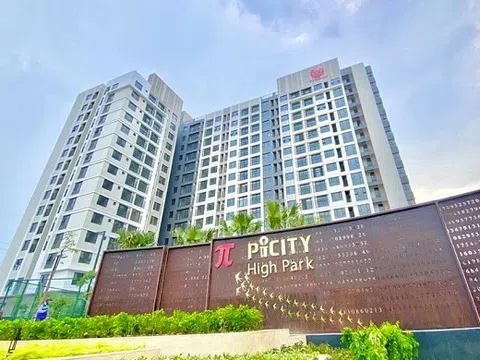 Giám đốc Công ty Pi Home có nguy cơ bị tạm hoãn xuất cảnh