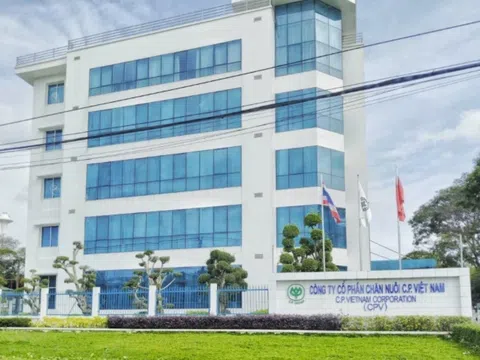 Công ty C.P. Việt Nam cùng 2 ông lớn ngành chăn nuôi sắp bị thanh tra