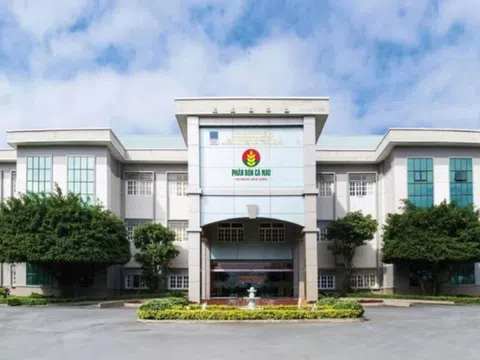 Chi nhánh Phân bón Dầu khí Cà Mau bị xử phạt hành chính về thuế