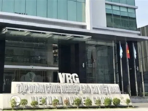 Tập đoàn Cao su Việt Nam để xảy ra thua lỗ, tiềm ẩn rủi ro mất vốn nhà nước