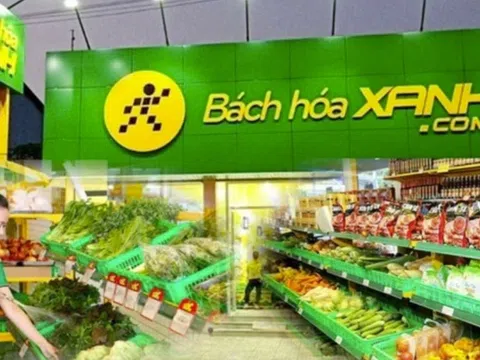 Chi nhánh Bách Hoá Xanh nợ thuế hơn 4 tỷ đồng