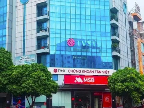 Để nhân viên hành nghề "chui" 5 năm, Chứng khoán Tân Việt bị phạt nặng