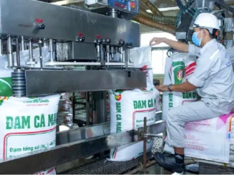 Lỗ kéo dài, lãi mỏng, Công ty Phân bón Hàn - Việt vào “tầm ngắm” kiểm tra thuế