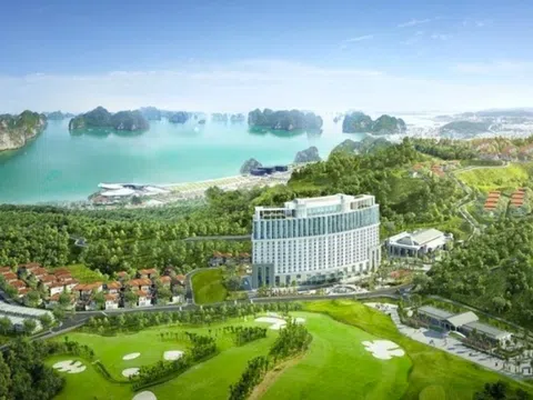 Quảng Ninh yêu cầu thu hồi nợ thuế tại 2 dự án 16.000 tỷ đồng của Tập đoàn FLC