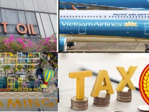 Xuyên Việt Oil, Golden Hill, Pacific Airlines bị công khai nợ thuế hàng trăm tỷ đồng