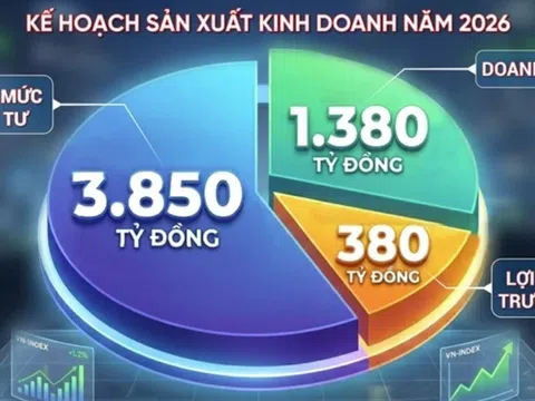 Chủ tịch Saigonres Group có nguy cơ bị tạm hoãn xuất cảnh