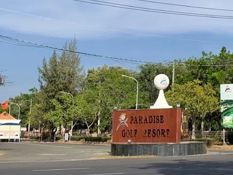 Vũng Tàu Paradise, Golden Hill nợ thuế hàng nghìn tỷ đồng