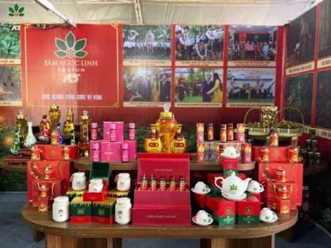 Sâm Ngọc Linh Kon Tum và hàng loạt doanh nghiệp nợ thuế