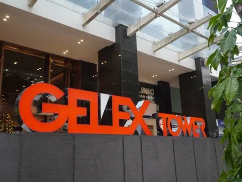 Ủy ban Chứng khoán xử phạt Tập đoàn Gelex