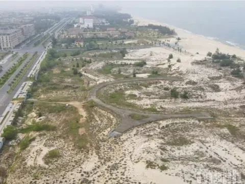 Dự án của Tập đoàn Sơn Hải phát sinh hơn 290 tỷ đồng tiền chậm nộp, doanh nghiệp bị cưỡng chế thuế