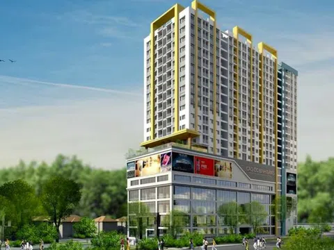 Tổng giám đốc Công ty Địa ốc Sài Gòn 5 nguy cơ bị tạm hoãn xuất cảnh