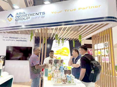 AIG bứt phá trong 6 tháng đầu năm: Lãi sau thuế tăng 72%, doanh thu đạt hơn 8.200 tỷ đồng