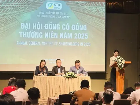 Tập đoàn ST8 bị xử phạt vì báo lỗ thành lãi