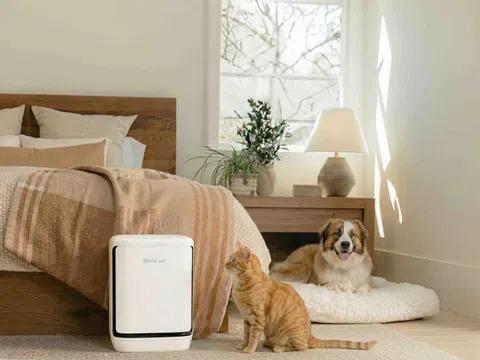 Vital Pet Pro: Giải pháp lọc không khí mới của Levoit dành cho nhà nuôi thú cưng