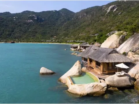 Ninh Vân Bay bị phạt nặng: Tài chính trĩu nặng dưới 'núi lỗ' lũy kế 677 tỷ