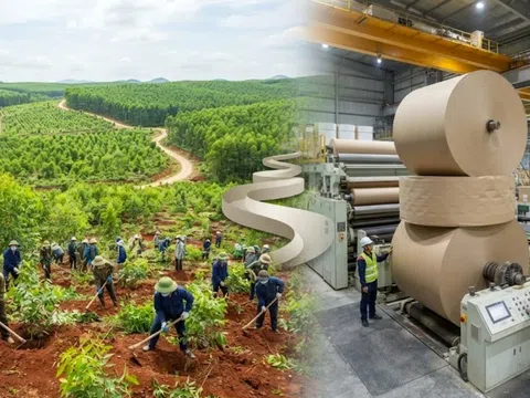 Thanh tra Chính phủ chỉ ra loạt tồn tại về đất đai của VINANACO và Tập đoàn Tân Mai