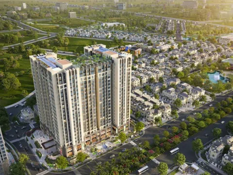 Đất xanh miền Bắc vi phạm chứng khoán