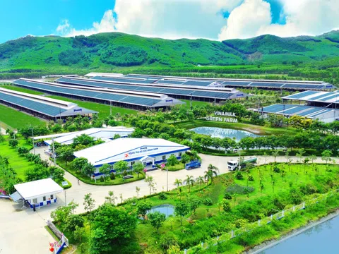 50 năm Vinamilk: Khi ‘đạt chuẩn’ chưa phải điểm dừng