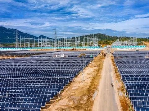 Điện Mặt trời Trung Nam Thuận Nam báo lỗ bán niên 2026