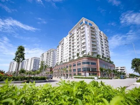 Đại Quang Minh bị phạt 875 triệu đồng vì chậm báo cáo bán nhà cho người nước ngoài