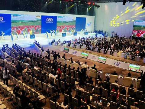 World Tea Connect: Khi ngoại giao văn hóa mở lối cho hợp tác toàn cầu tại Diễn đàn Kinh tế mùa thu 2026