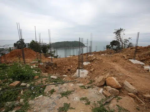 Nhiều sai phạm trong thẩm định, giao đất cho các dự án tại bán đảo Sơn Trà