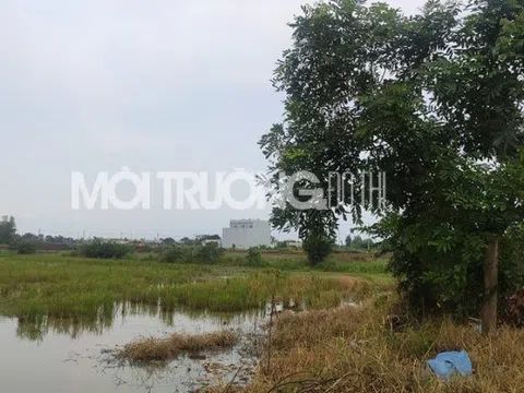 Phúc Land bán “lúa non” trên bãi đất trống tại dự án Lotus New City