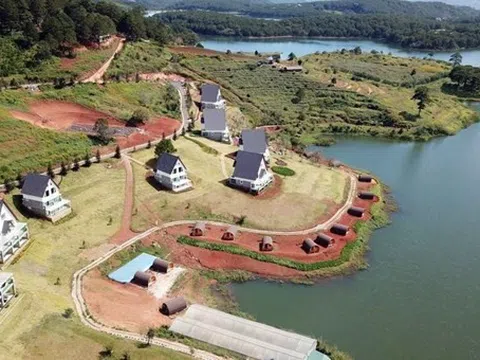 Lâm Đồng: Điều tra vụ lấn chiếm đất rừng phòng hộ hồ Tuyền Lâm