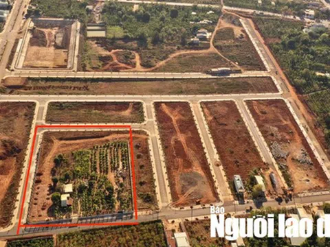 "Bí ẩn" lô đất 7.000 m2 giá hàng chục tỉ đồng được huyện đưa ra ngoài quy hoạch