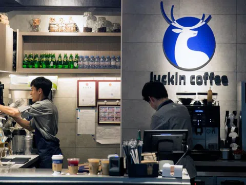Giới startup đón ‘cú sốc’ mới: Chuỗi cà phê ‘nổ’ sắp vượt Starbucks lừa nhà đầu tư, ngụy tạo tới 40% doanh thu năm 2019