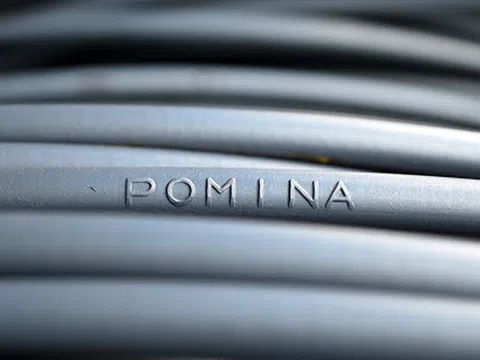 Vì sao Pomina lỗ 309 tỷ trong năm 2019?