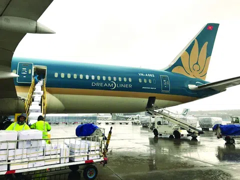 Hàng không Việt xoay xở vượt khủng hoảng