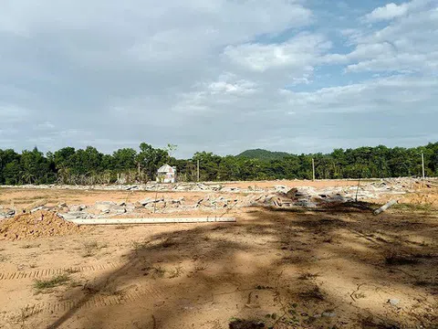 Tình trạng phân lô, bán nền ở Phú Quốc… “ nghiêm trọng tới mức nào”?