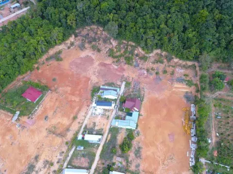 Nát tan đất rừng Phú Quốc: Có dấu hiệu thông đồng bên trong?