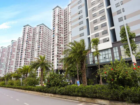 Những người trẻ hiện đại - họ cần gì ở ngôi nhà của mình?